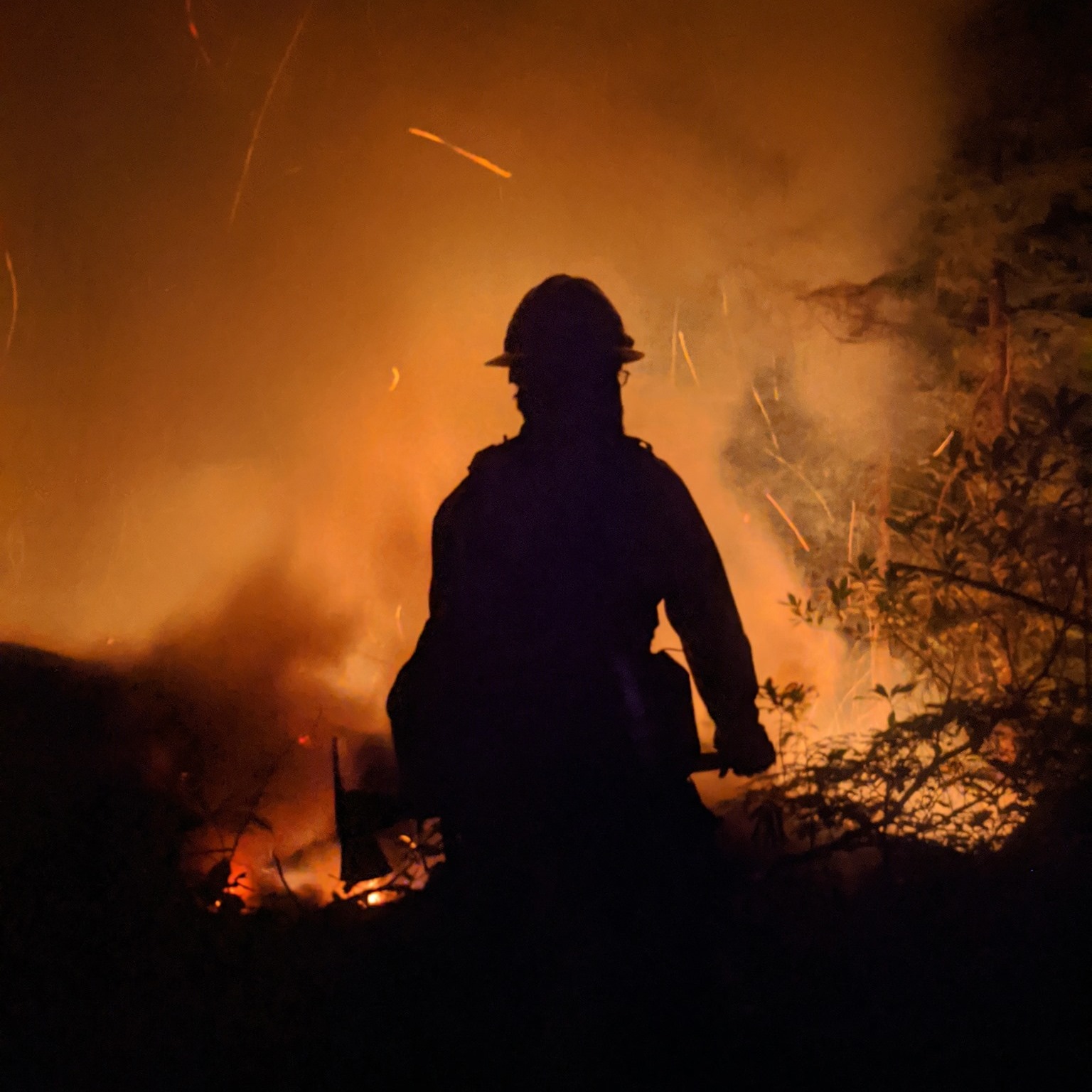 Wildland firefighter fighting a fire.